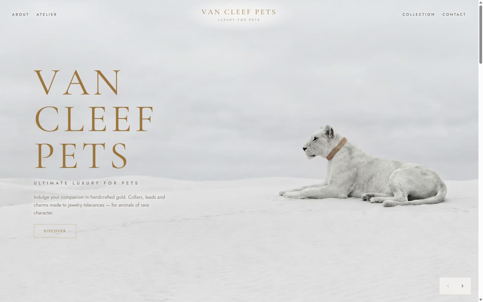 Pet Atelier — Luxury Ecommerce website design preview